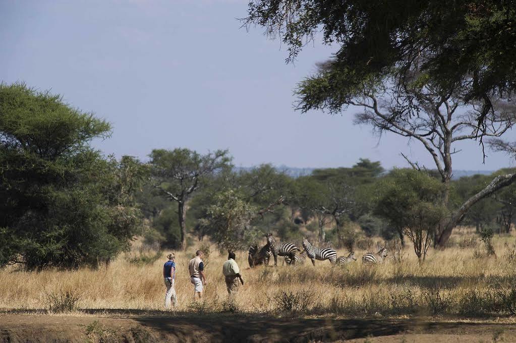 Sanctuary Swala Hotel Babati Kültér fotó